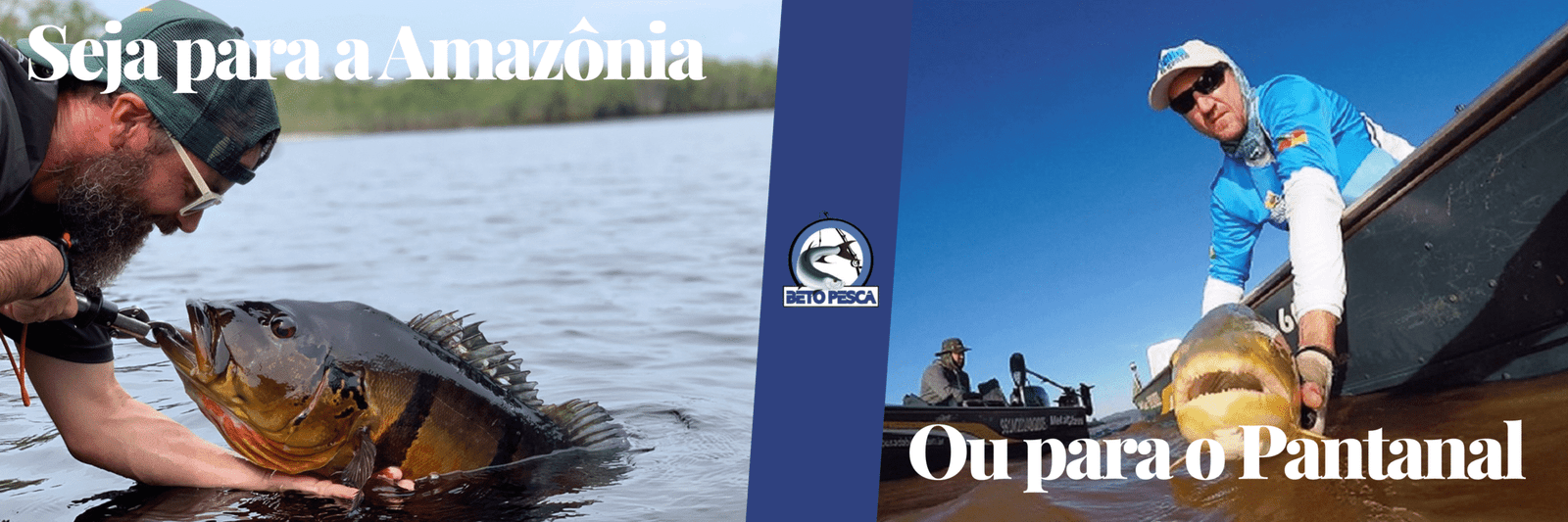 AMAZONIA OU PANTANAL (1)